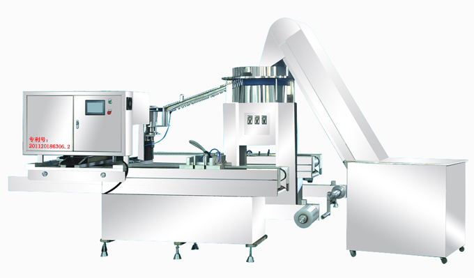 QZSL注射器自动摆放机